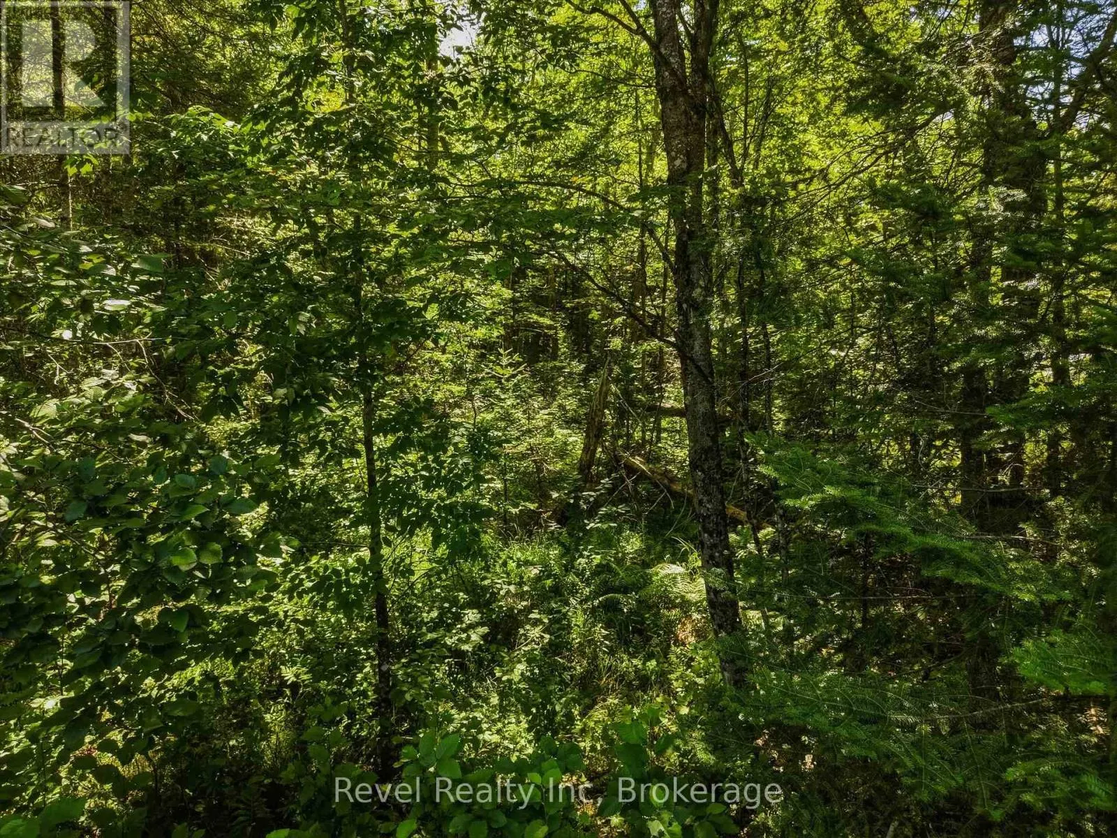 1054 BIRD LAKE ROAD
