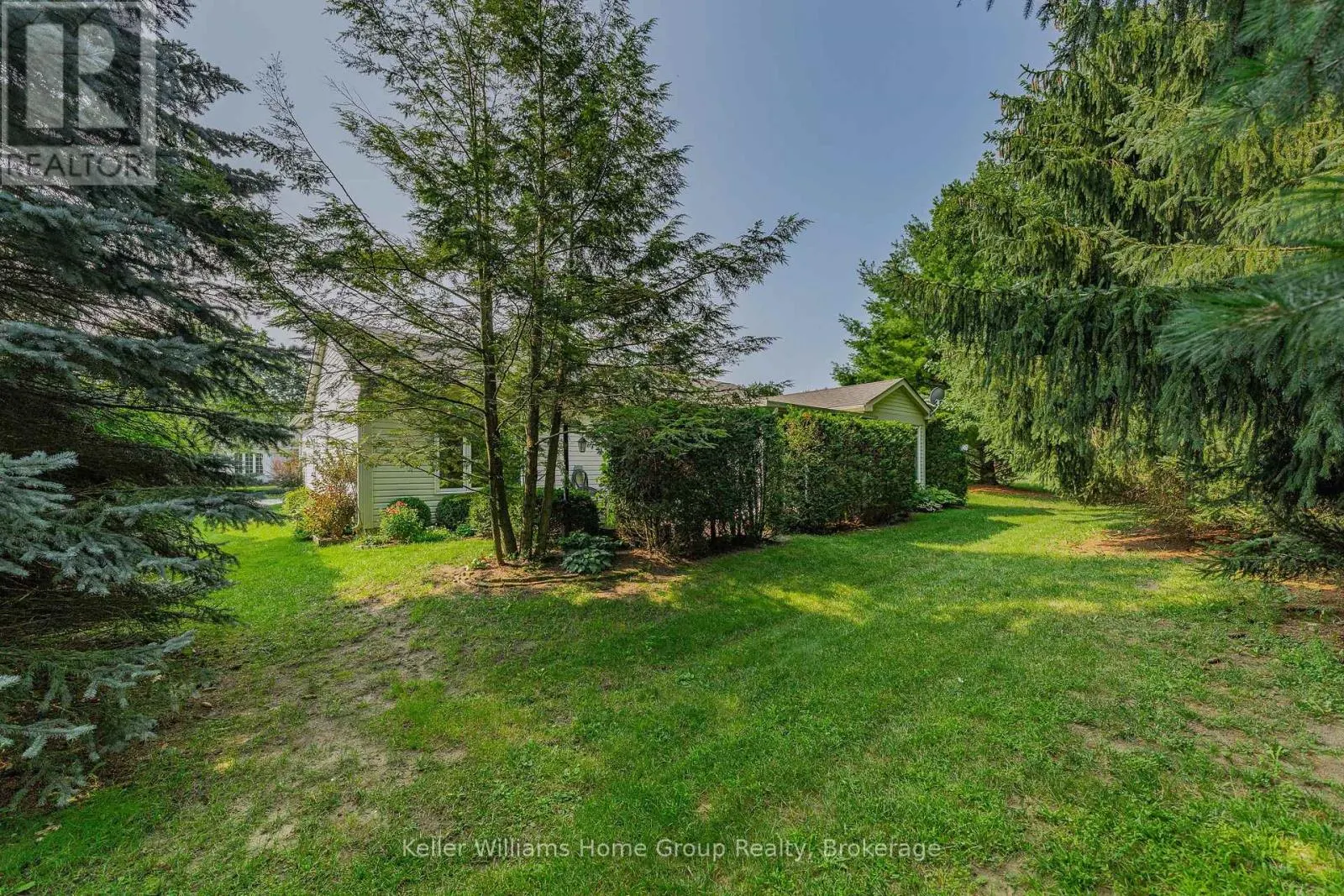 85 WHITE BARK WAY