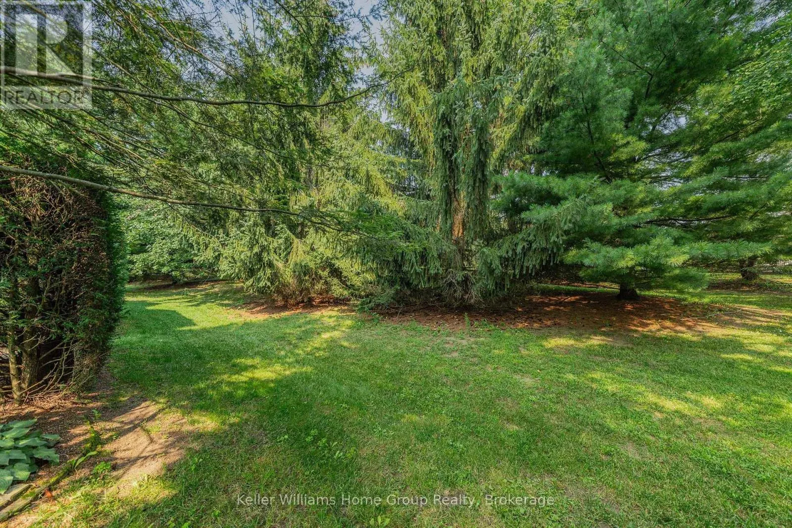 85 WHITE BARK WAY