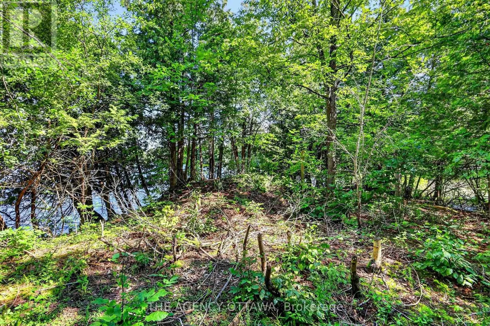 00 PIPER'S BAY LANE