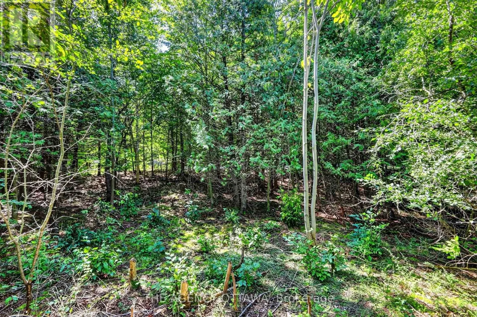 00 PIPER'S BAY LANE