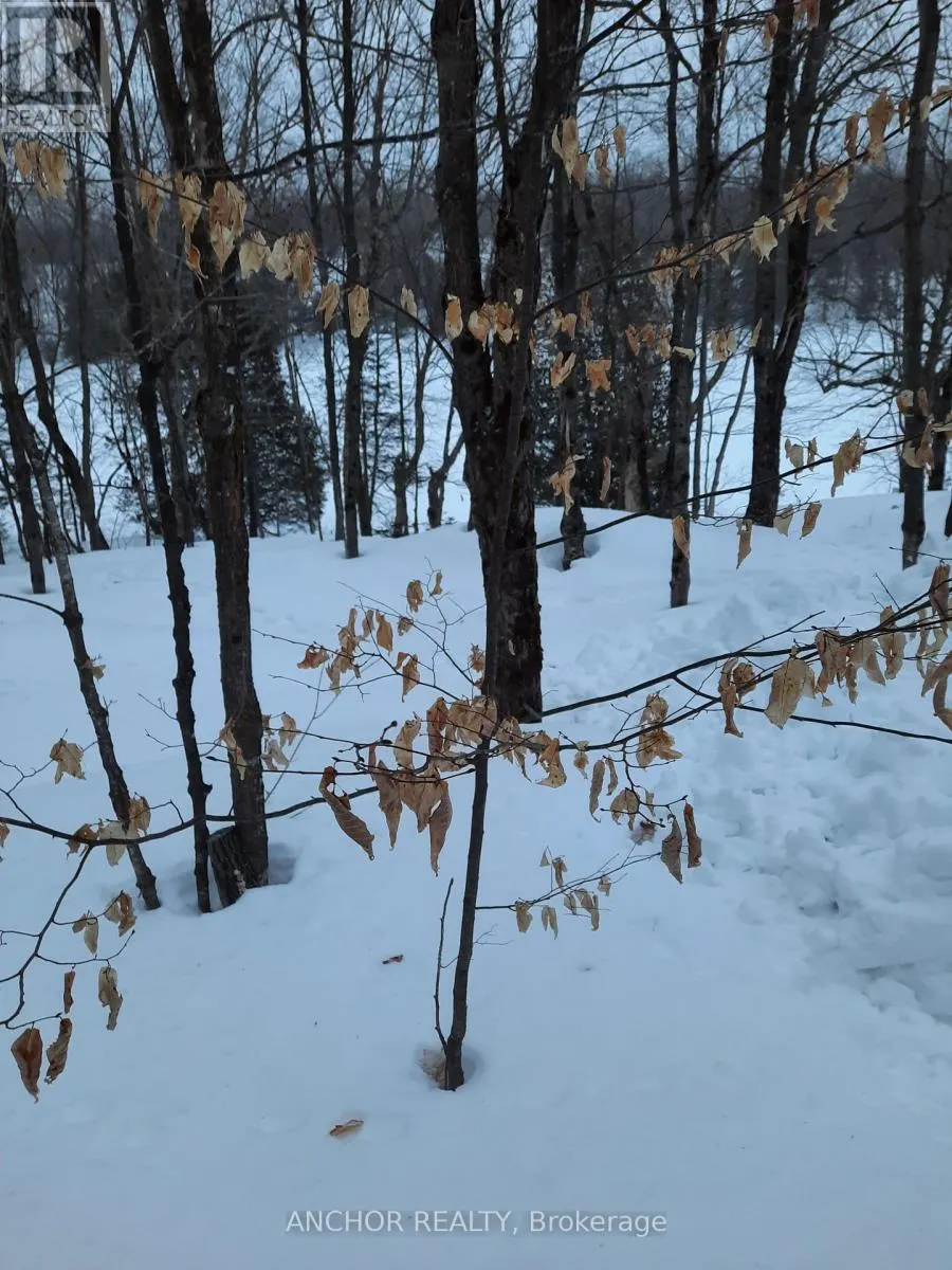 550 SHAWANAGA LAKE