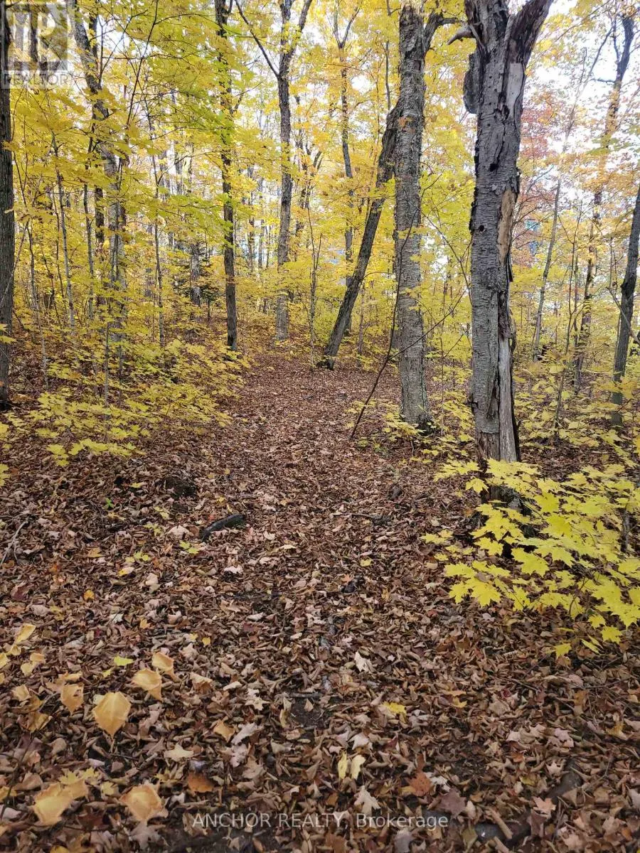 550 SHAWANAGA LAKE