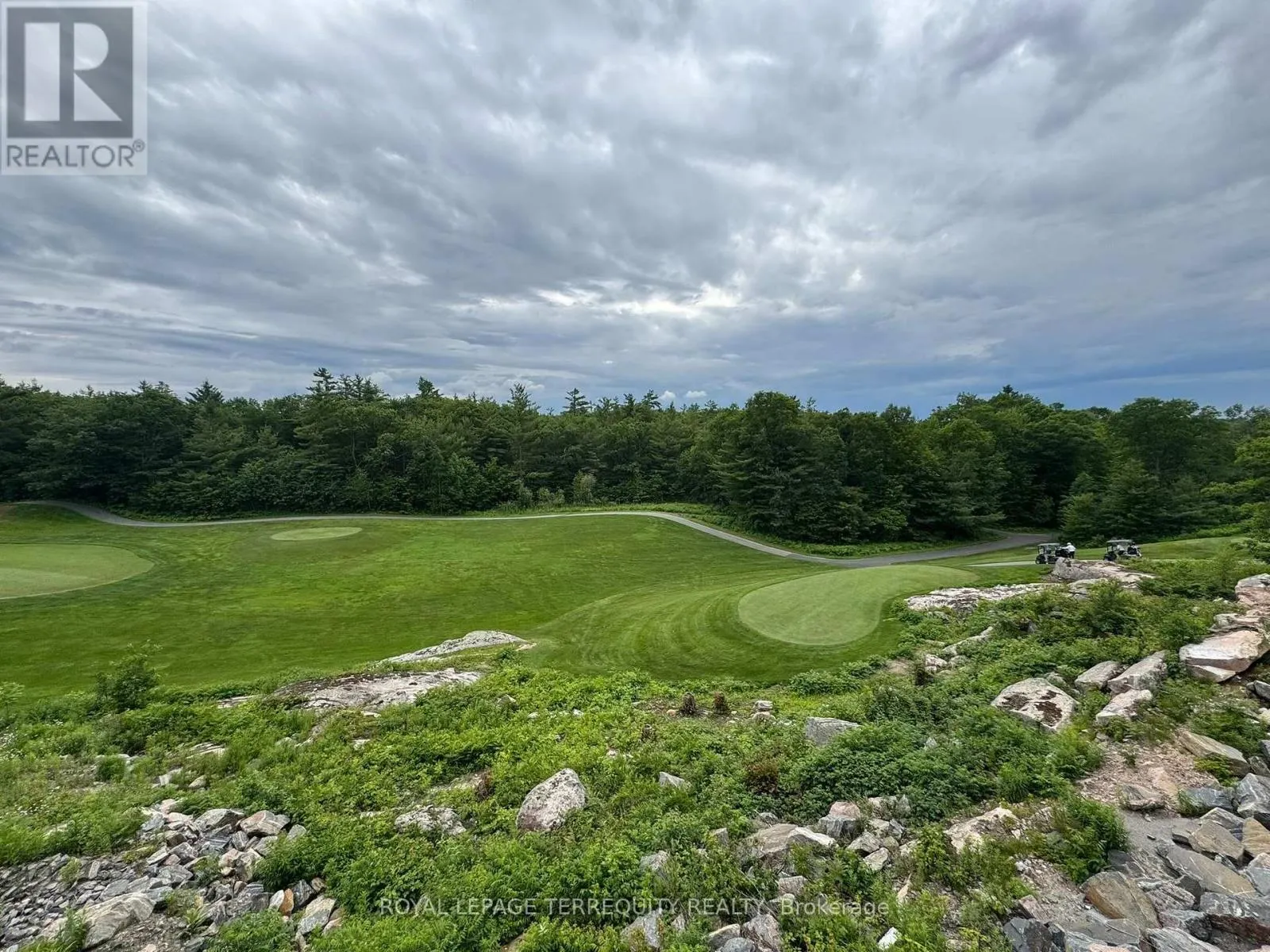 309 - 100 CARRICK TRAIL
