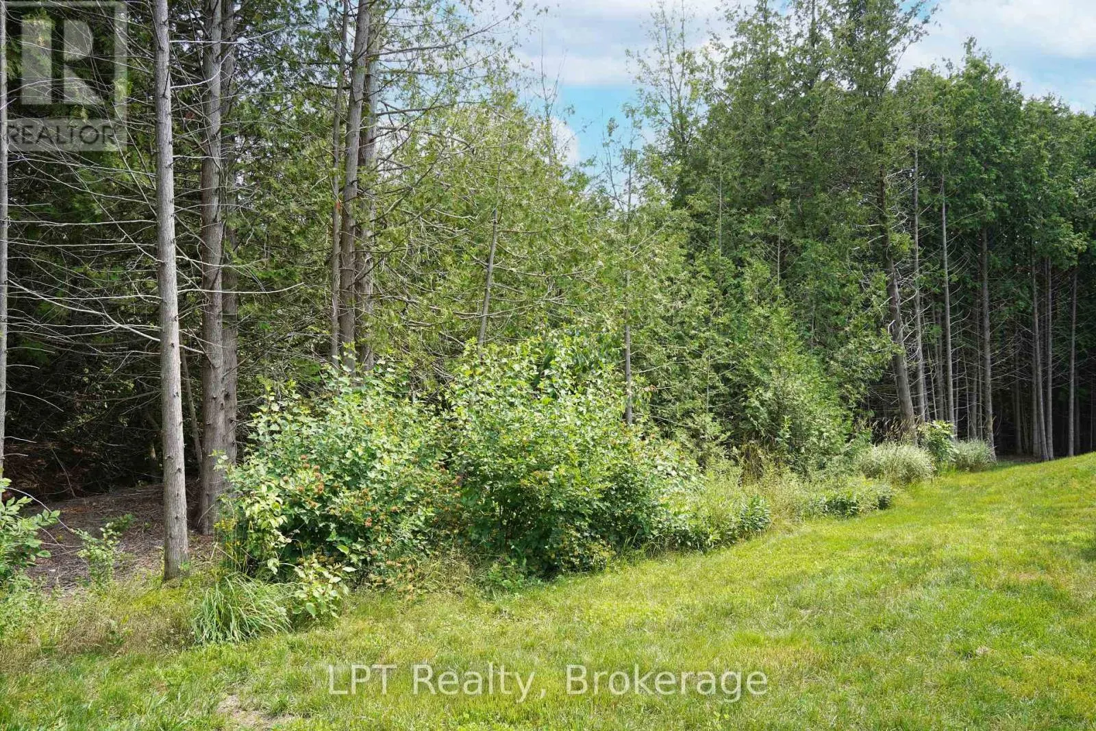 502180 GREY ROAD 1