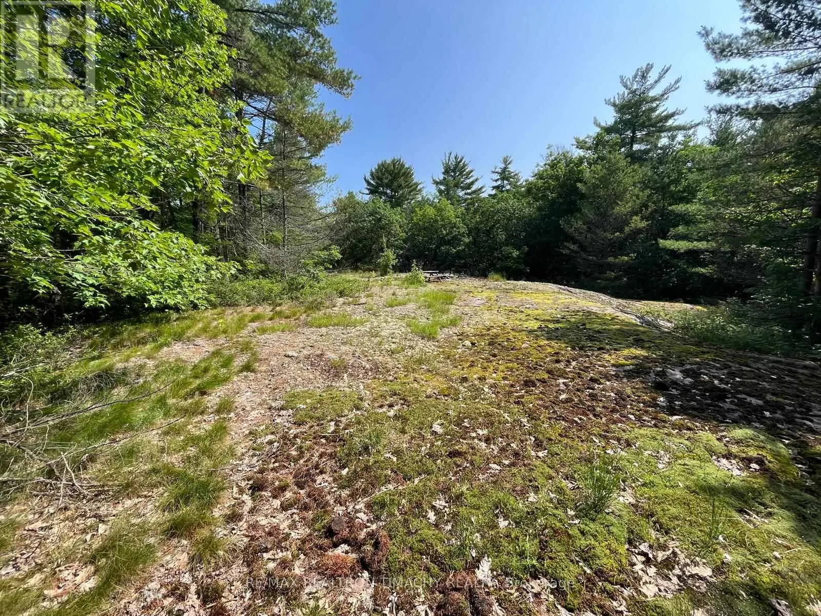 243 PRISQUE ROAD