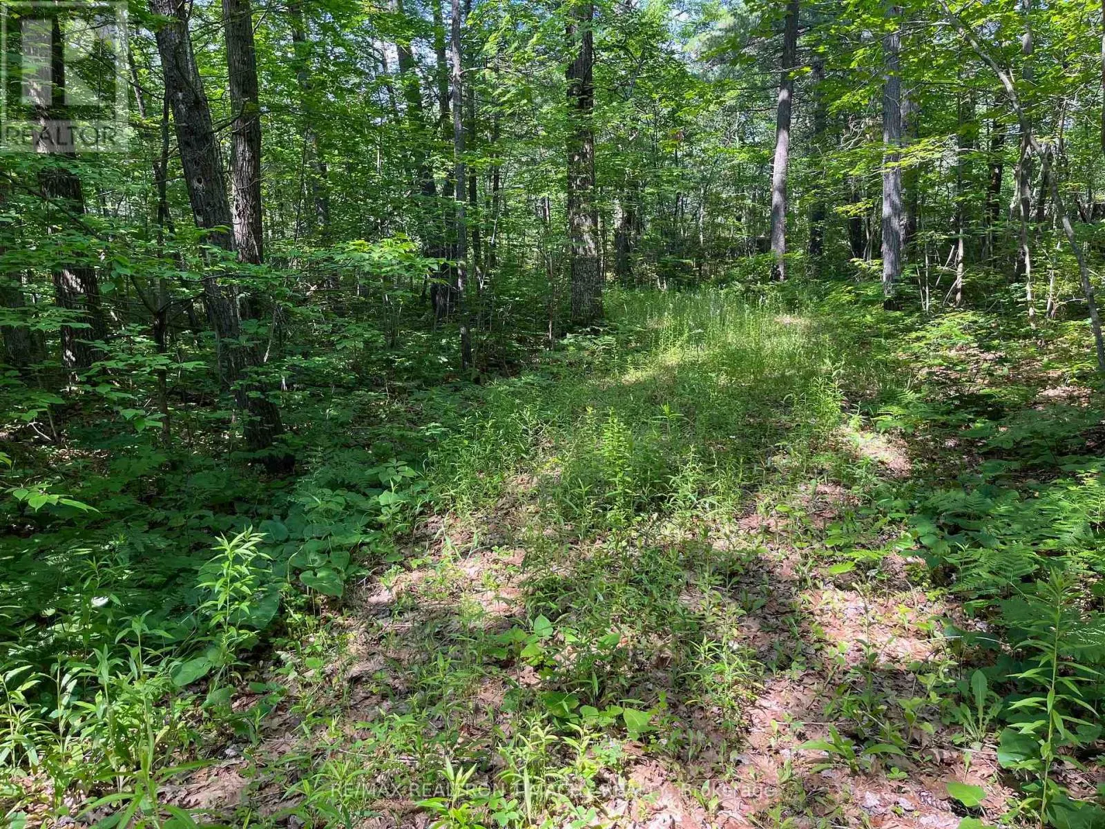 243 PRISQUE ROAD