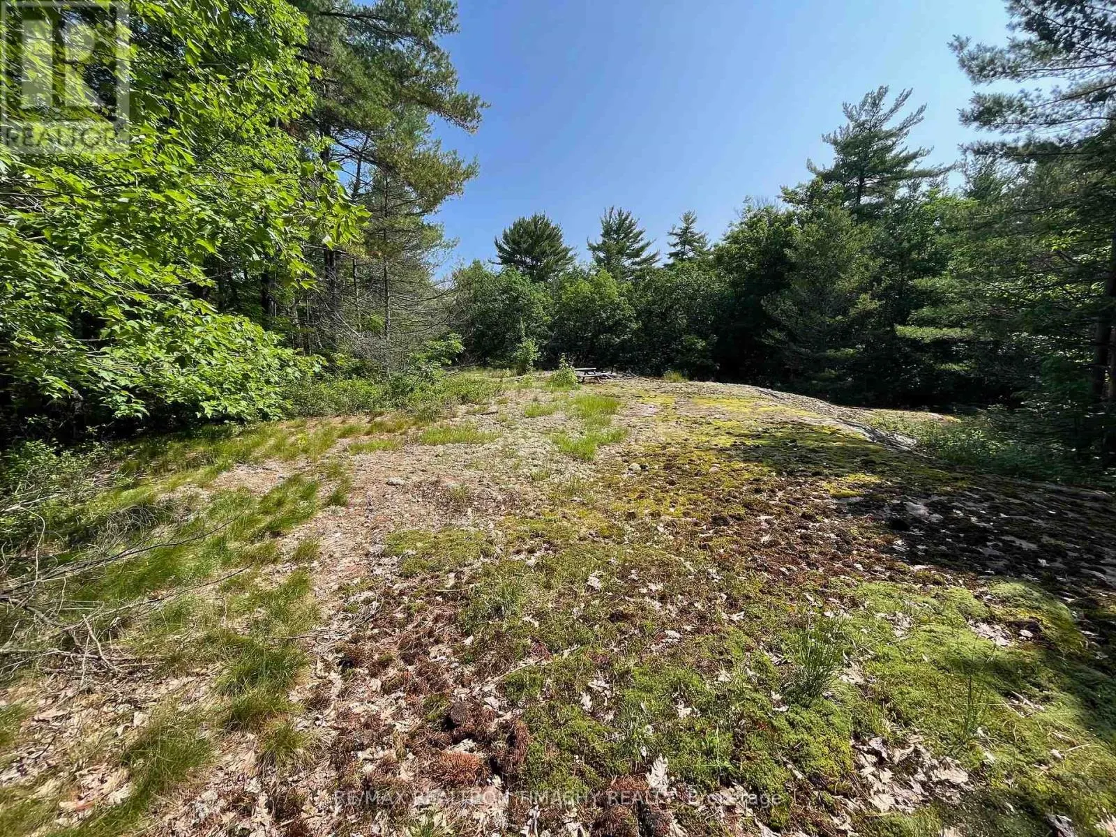 243 PRISQUE ROAD