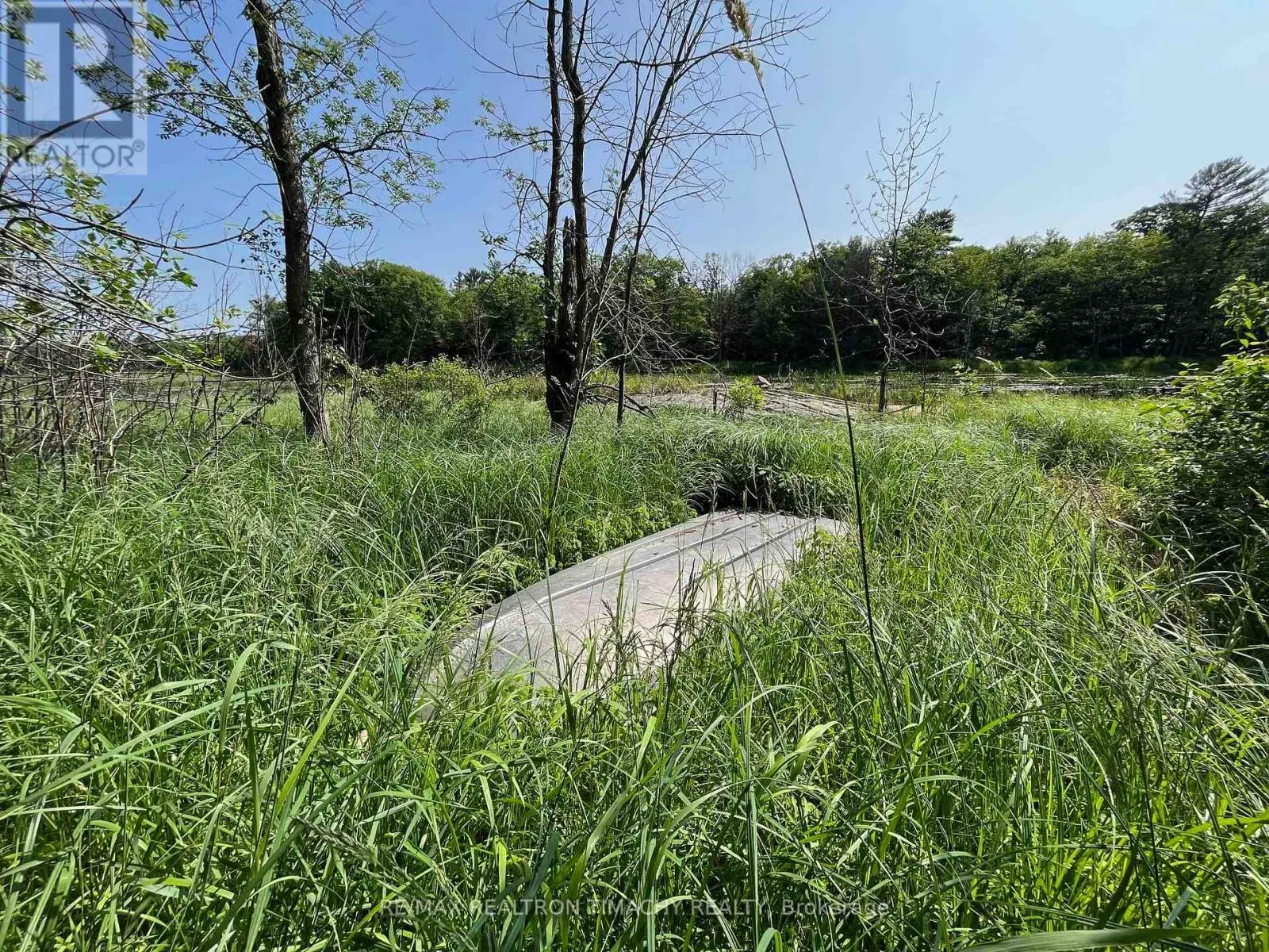 243 PRISQUE ROAD