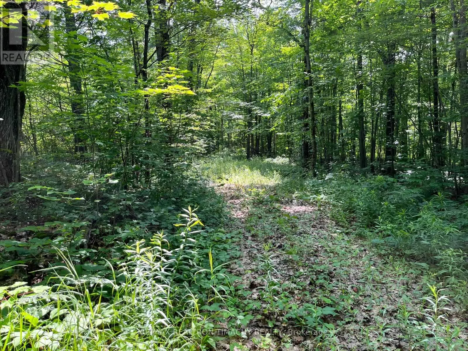 243 PRISQUE ROAD