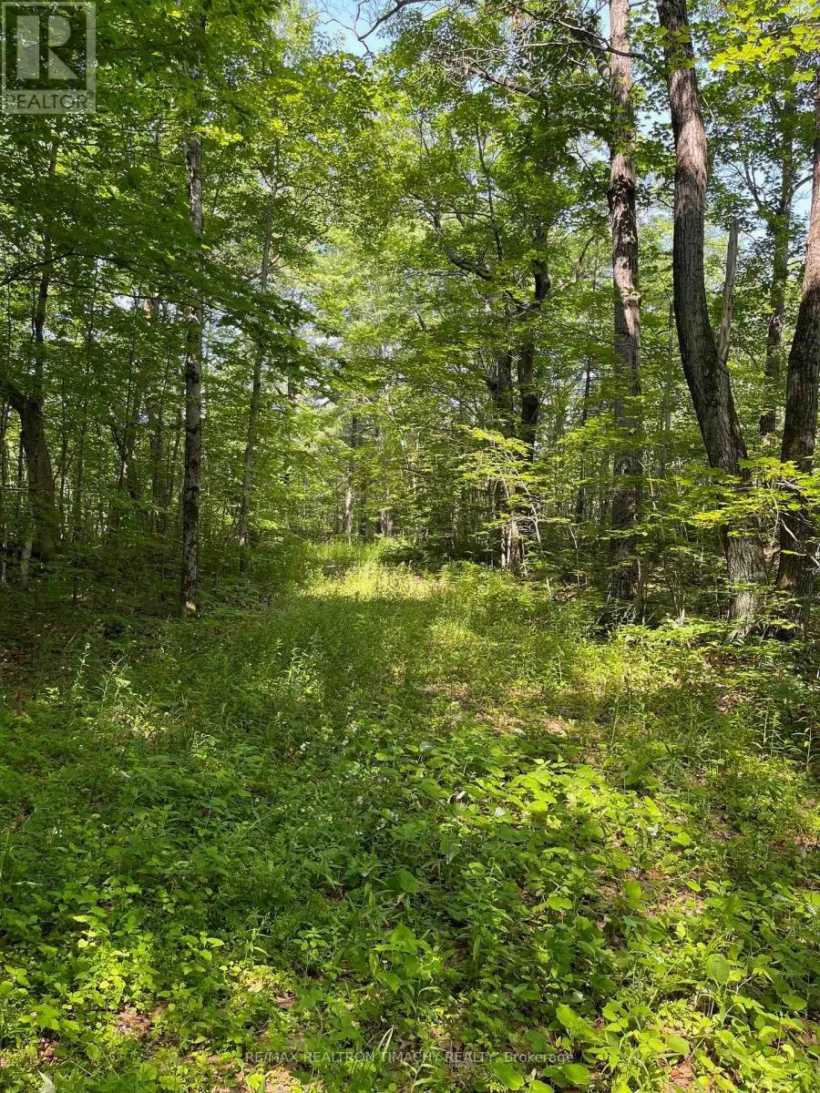 243 PRISQUE ROAD