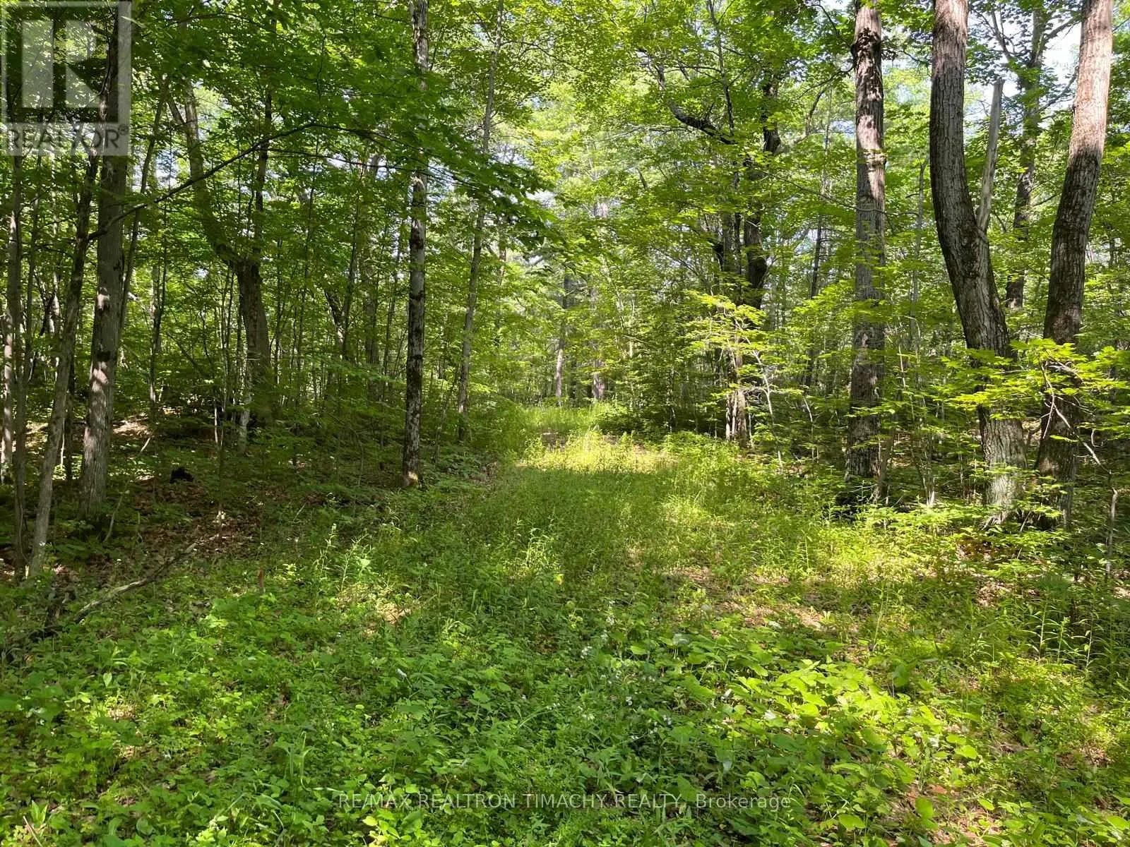 243 PRISQUE ROAD