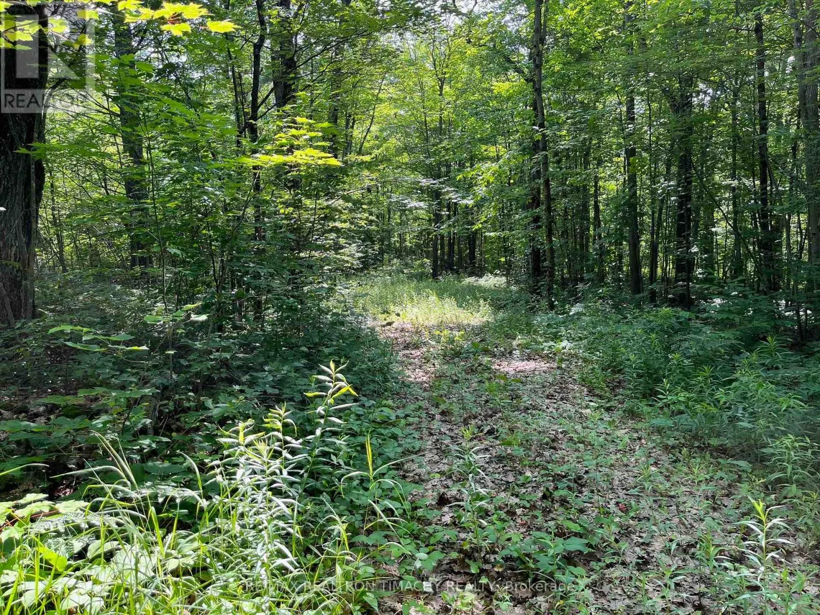 243 PRISQUE ROAD