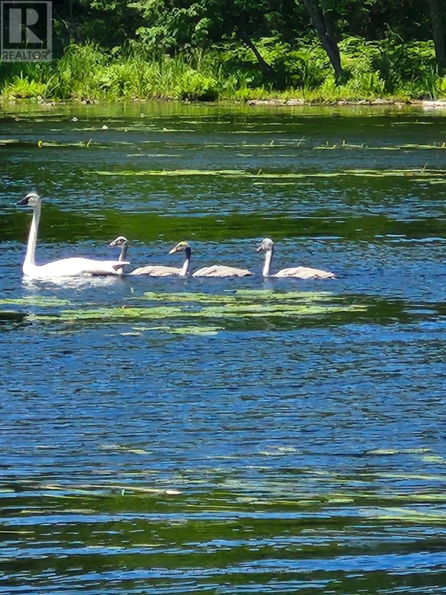 38 ISLAND 130 SEVERN RIVER
