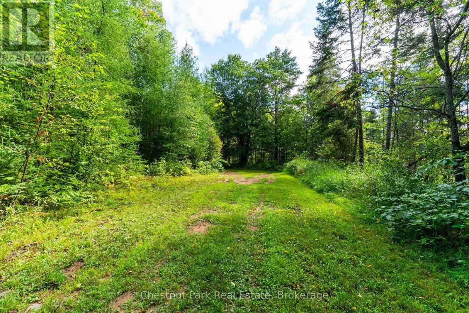 521 OLD MUSKOKA ROAD