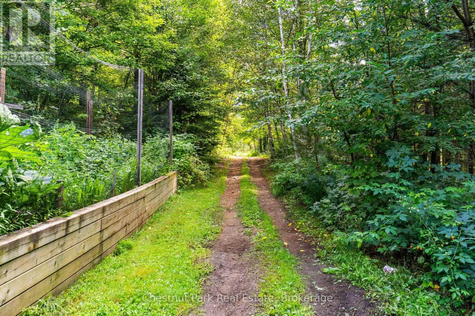 521 OLD MUSKOKA ROAD