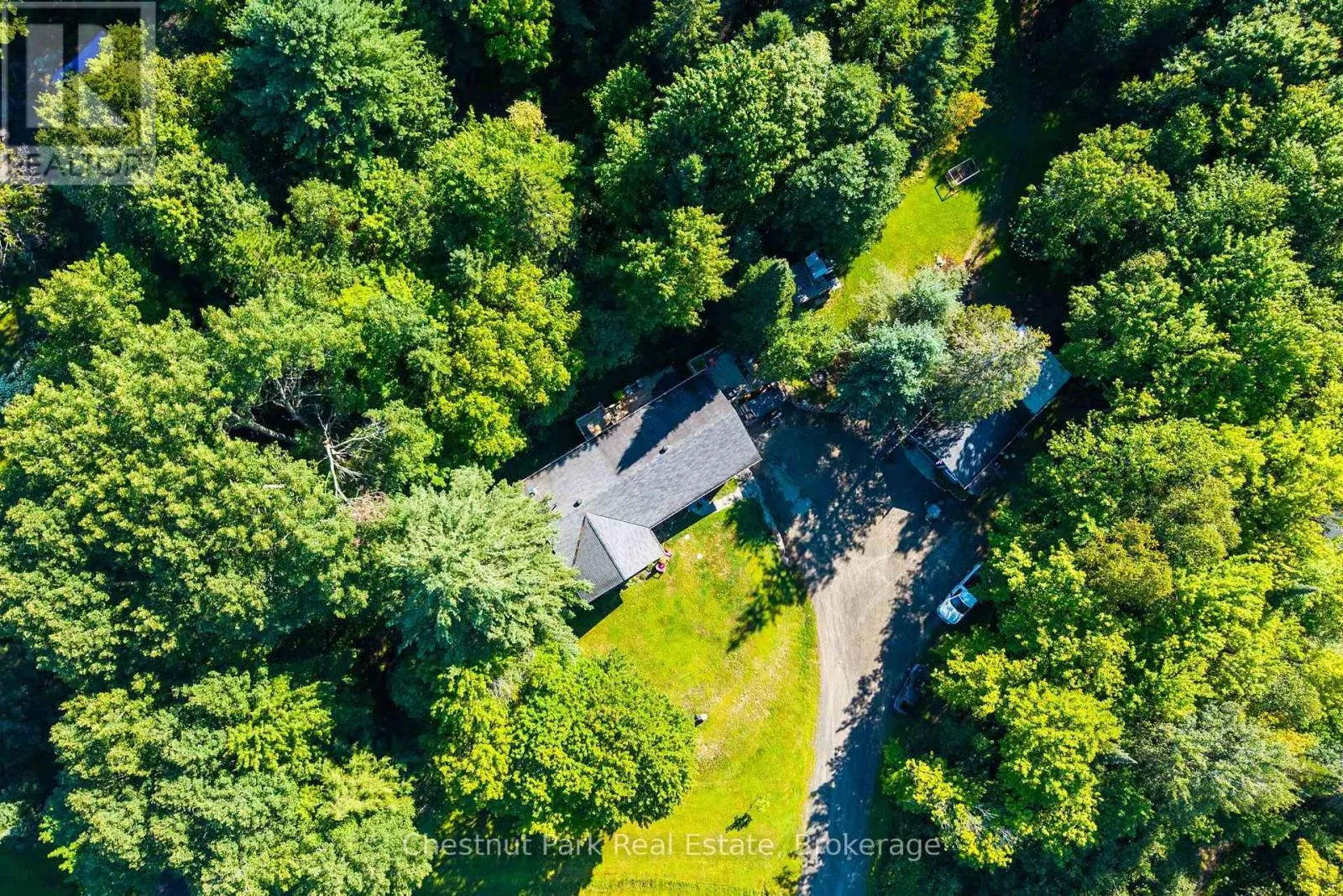 521 OLD MUSKOKA ROAD