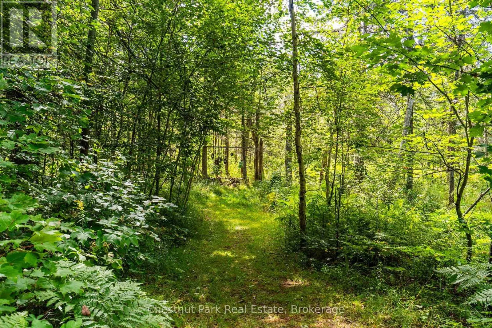 521 OLD MUSKOKA ROAD