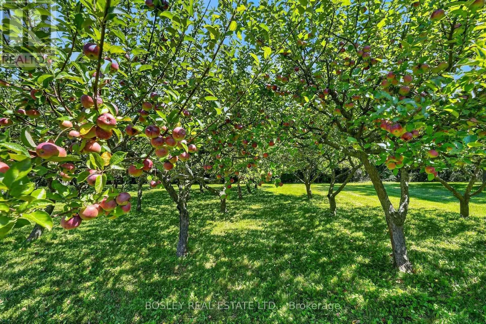 1073 CONCESSION 2 ROAD
