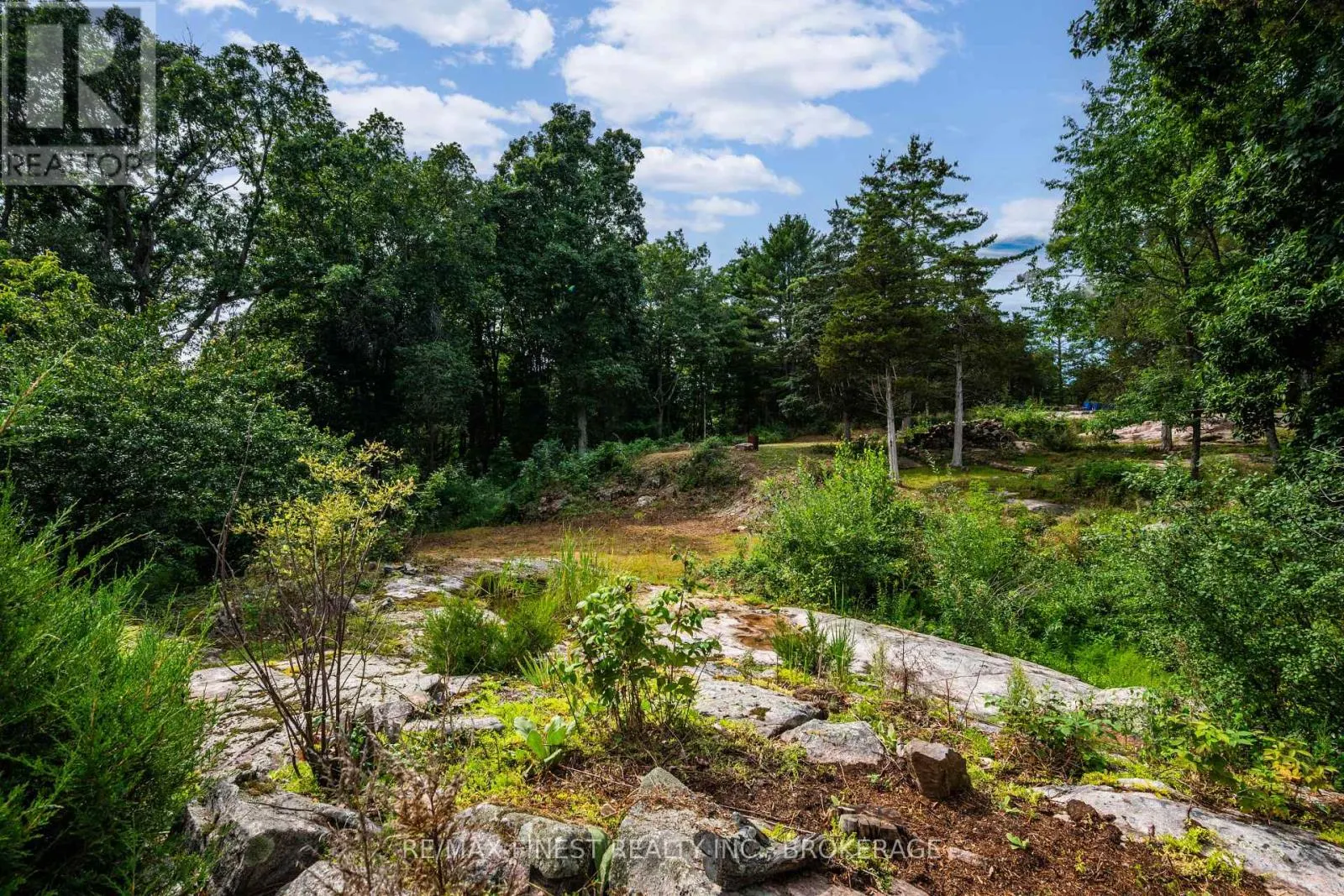 169 OLD RIVER ROAD