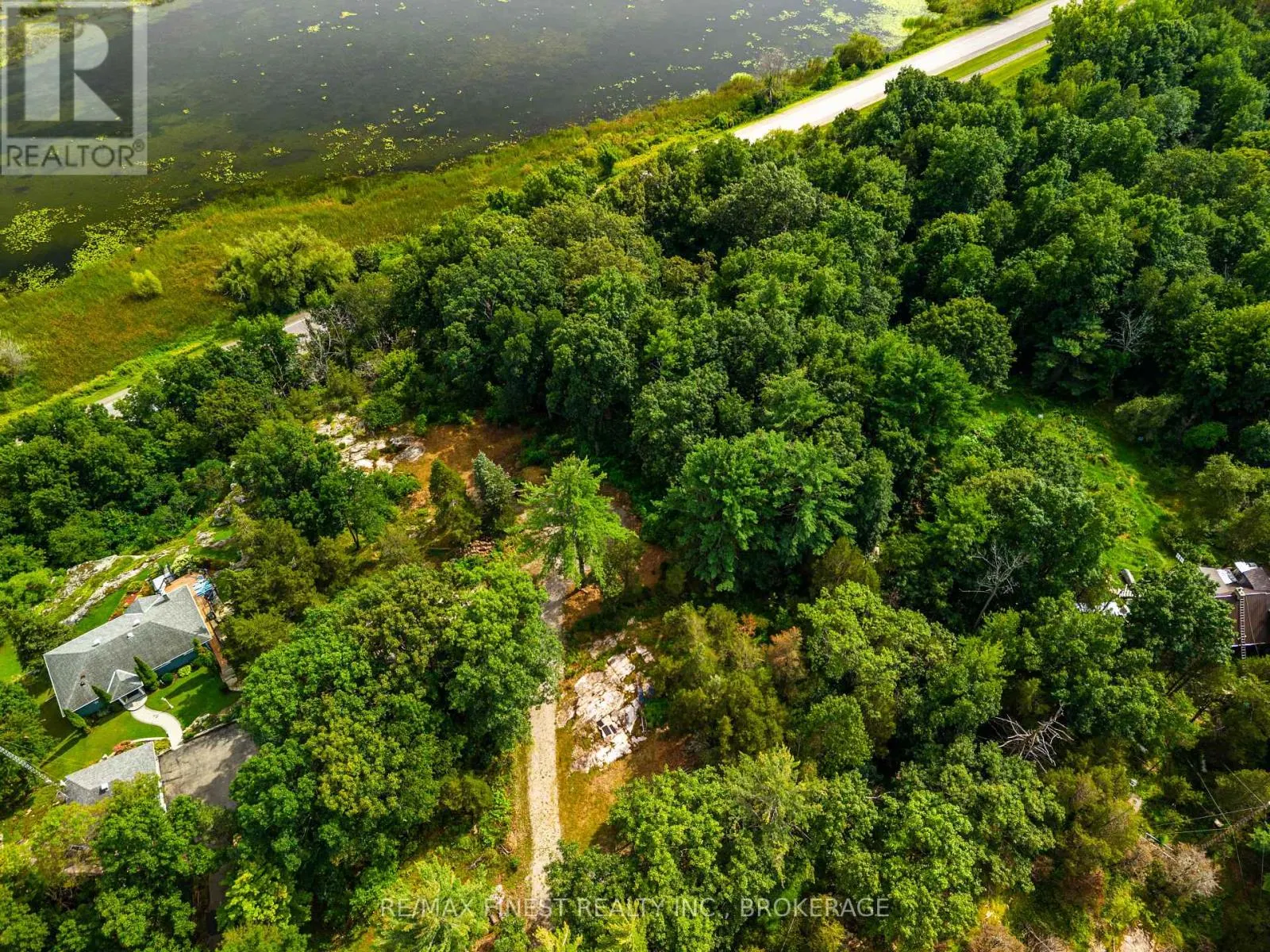 169 OLD RIVER ROAD