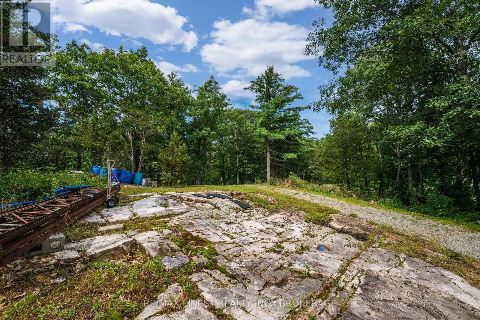 169 OLD RIVER ROAD