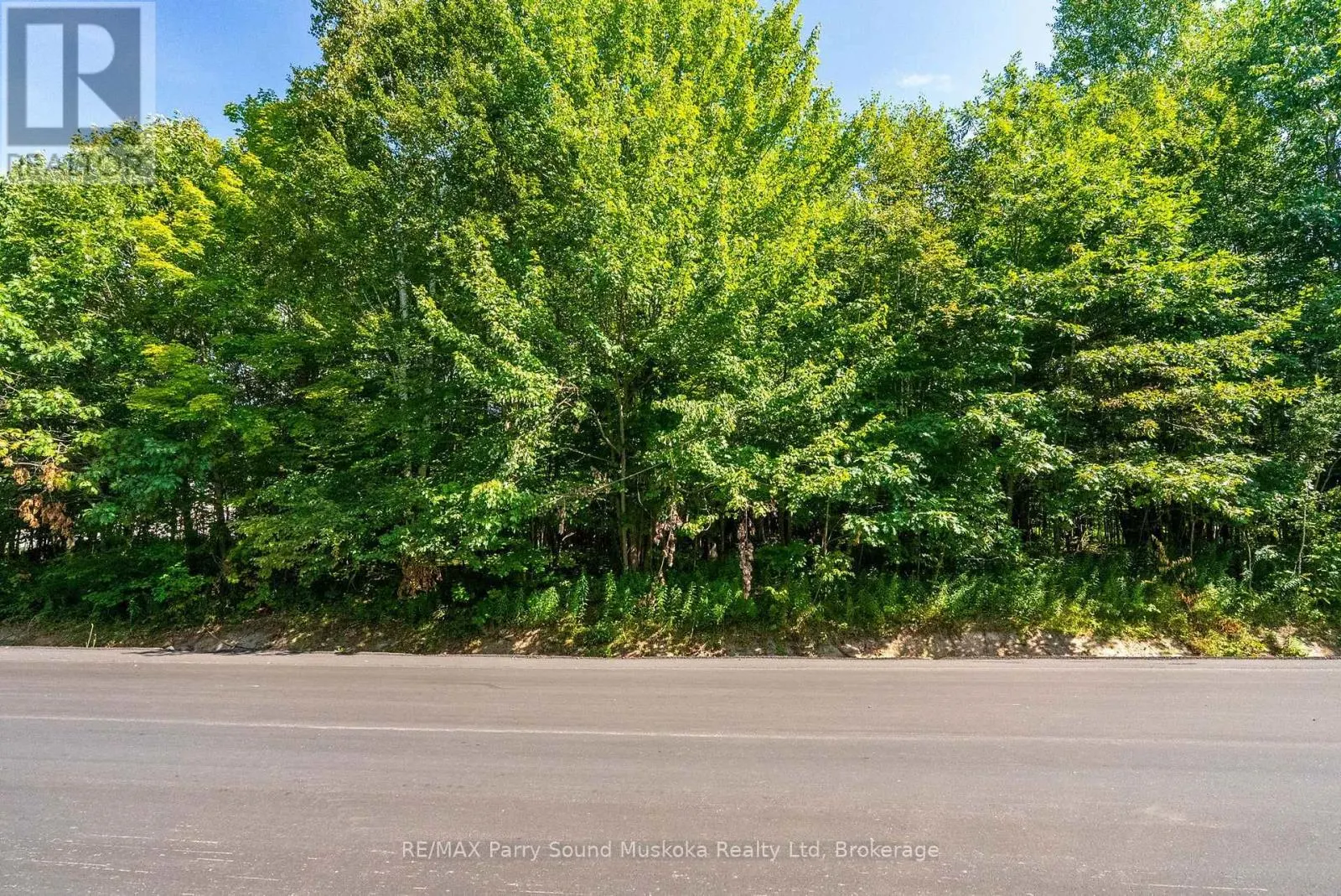 4 MOUNTAIN BASIN DRIVE