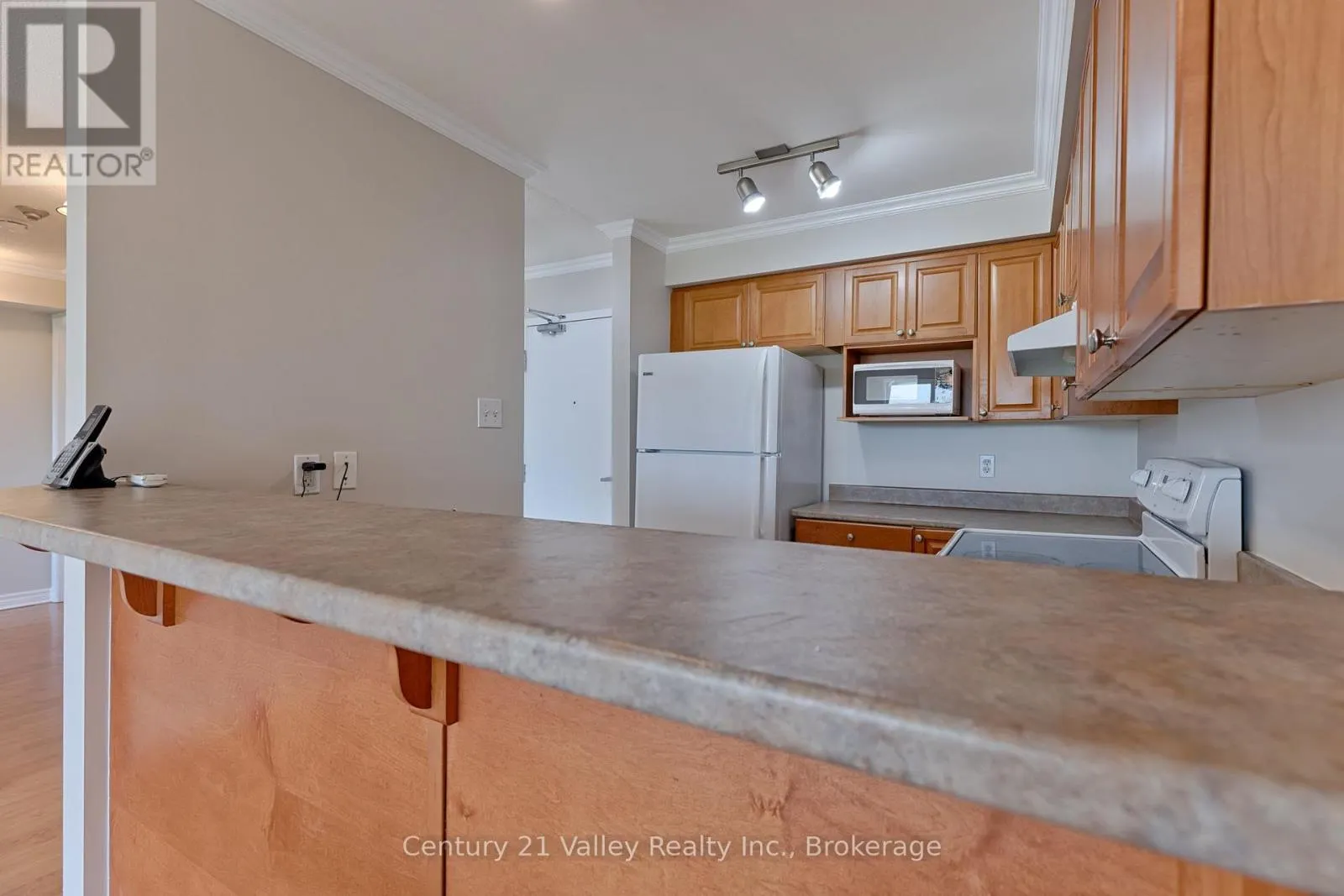 302 - 16 SHEFFIELD STREET #302