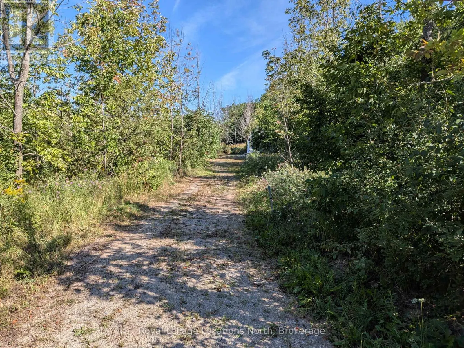 86177 7 SIDE ROAD