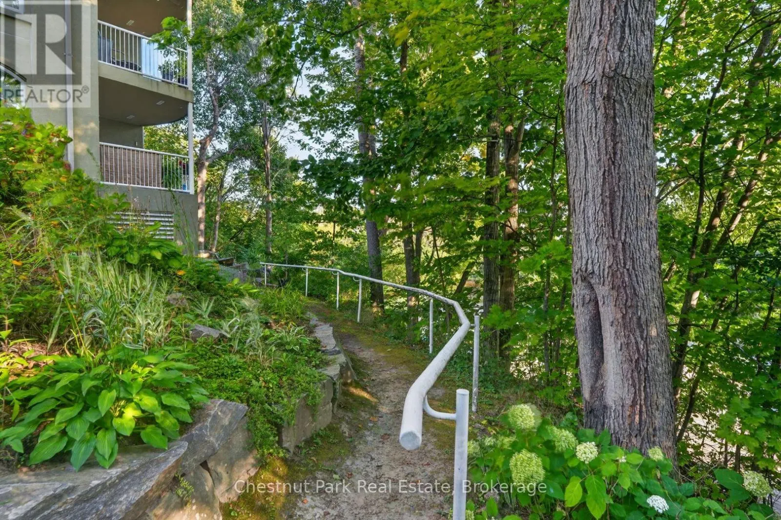 307 - 31 DAIRY LANE #307