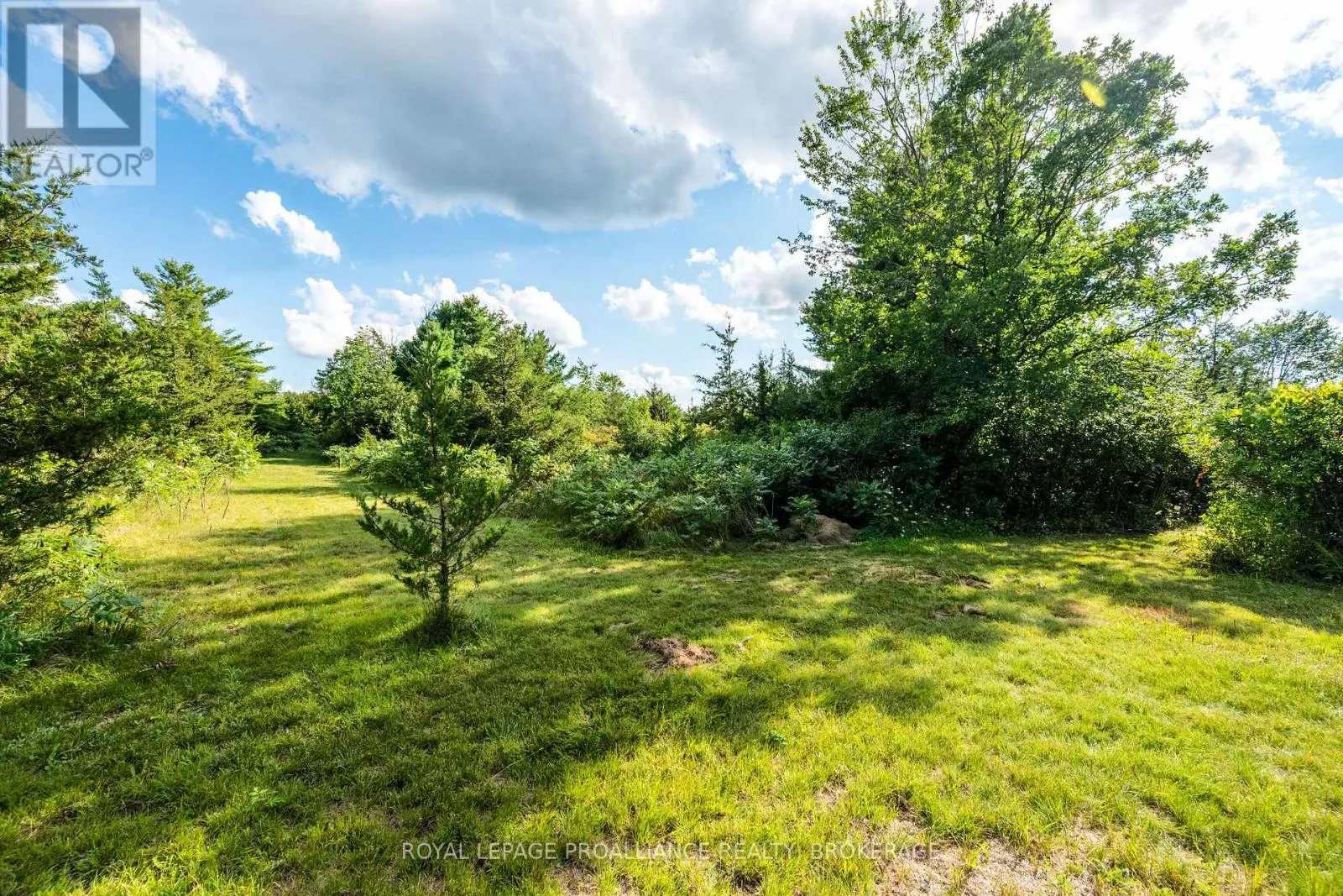 96 COLEBROOK ROAD