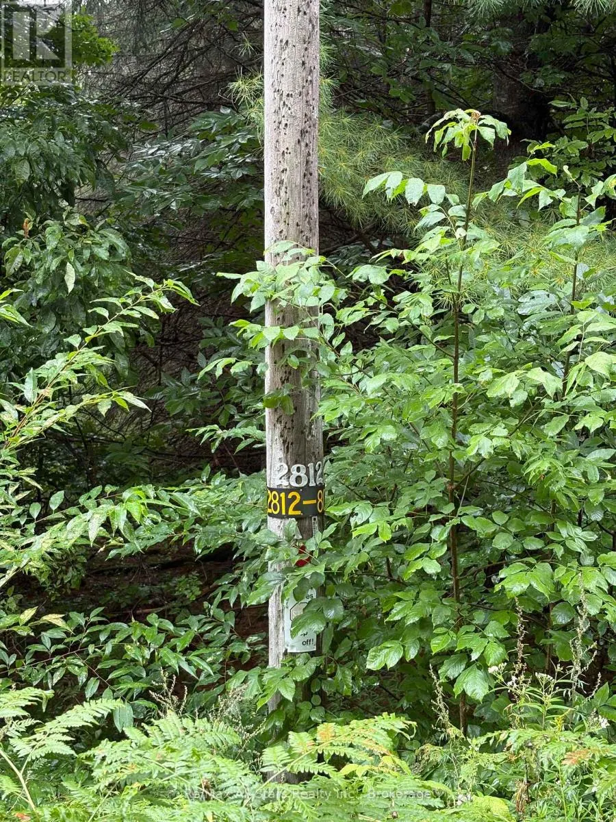 968 NORTH MARY LAKE ROAD