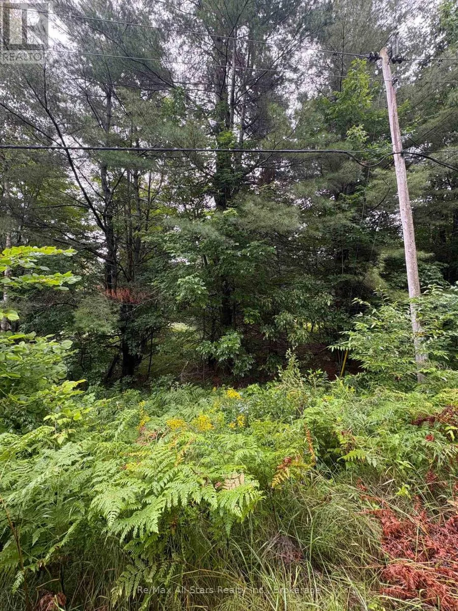 968 NORTH MARY LAKE ROAD
