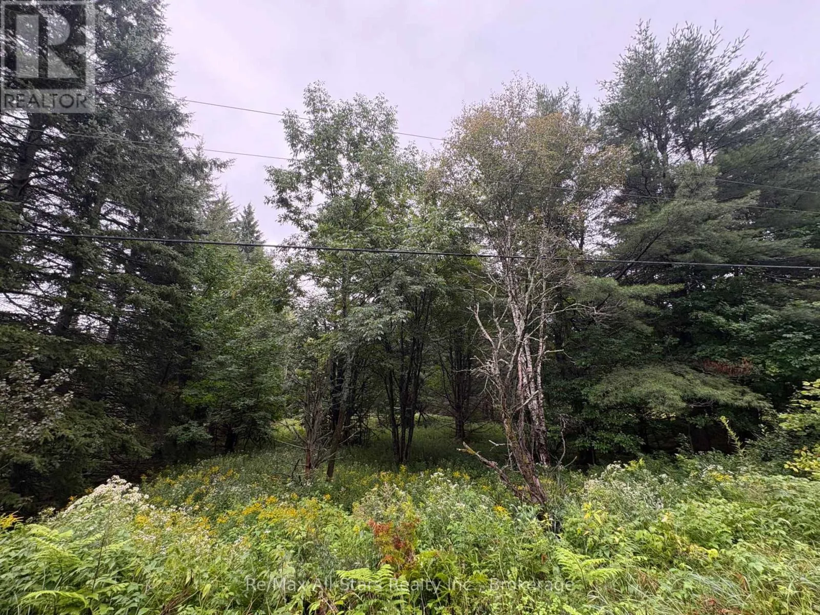 964 NORTH MARY LAKE ROAD