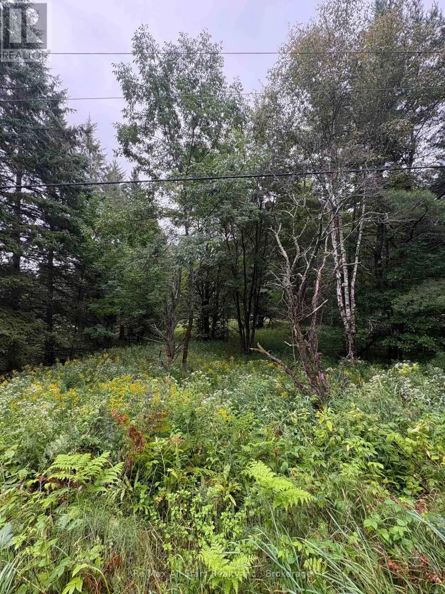 964 NORTH MARY LAKE ROAD