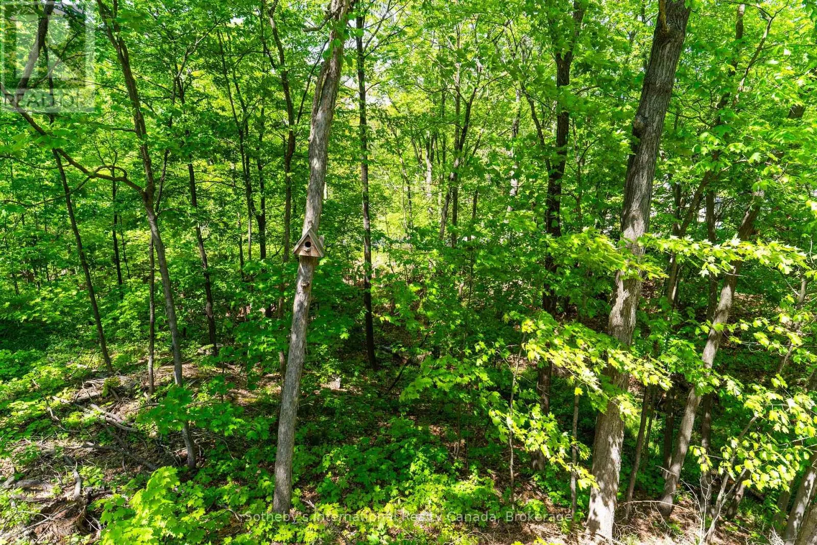 180 CLAIRMONT ROAD