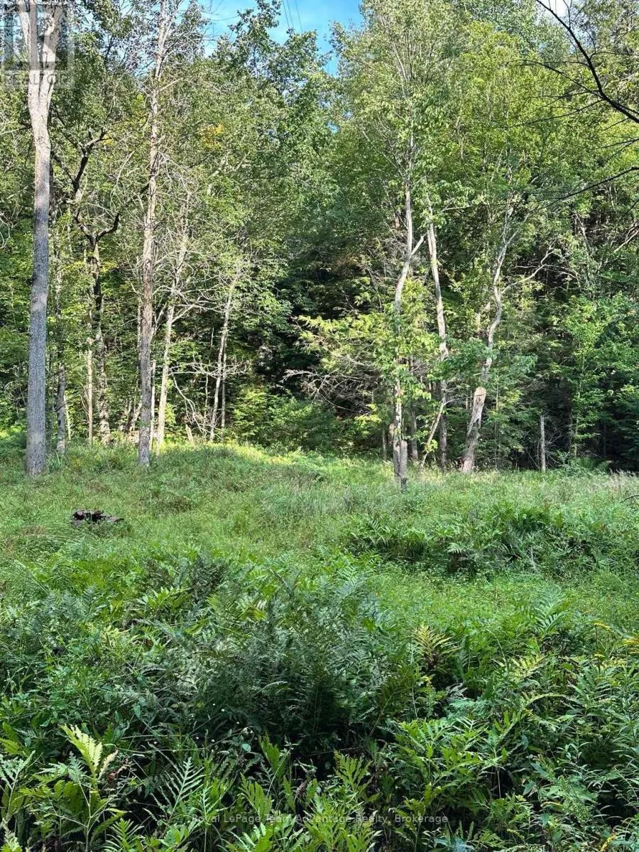 94 CRANE LAKE W/A