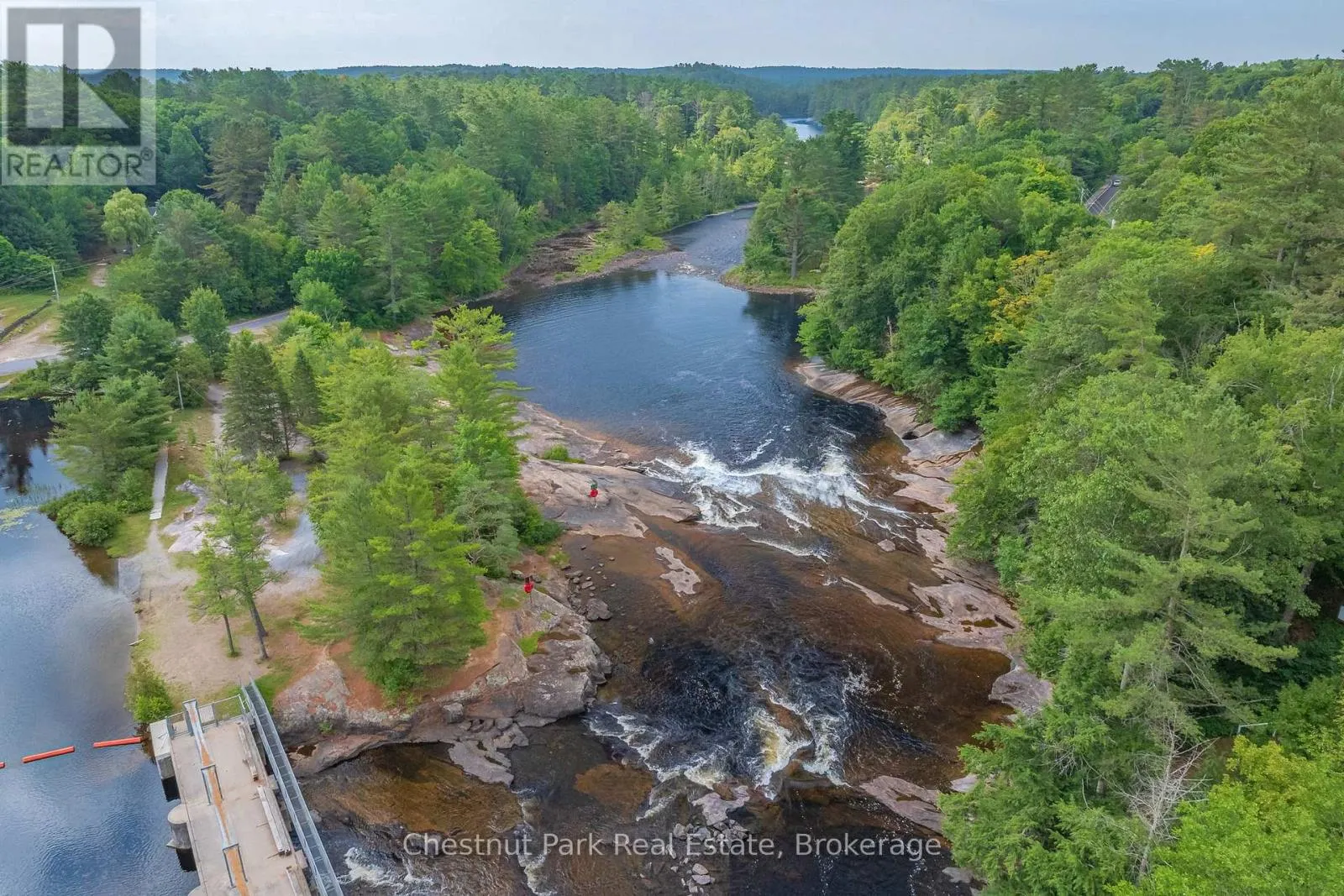 869 MUSKOKA ROAD 10