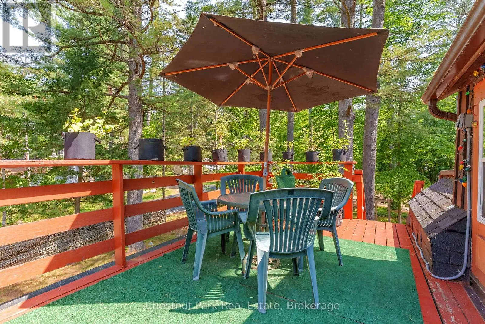 869 MUSKOKA ROAD 10