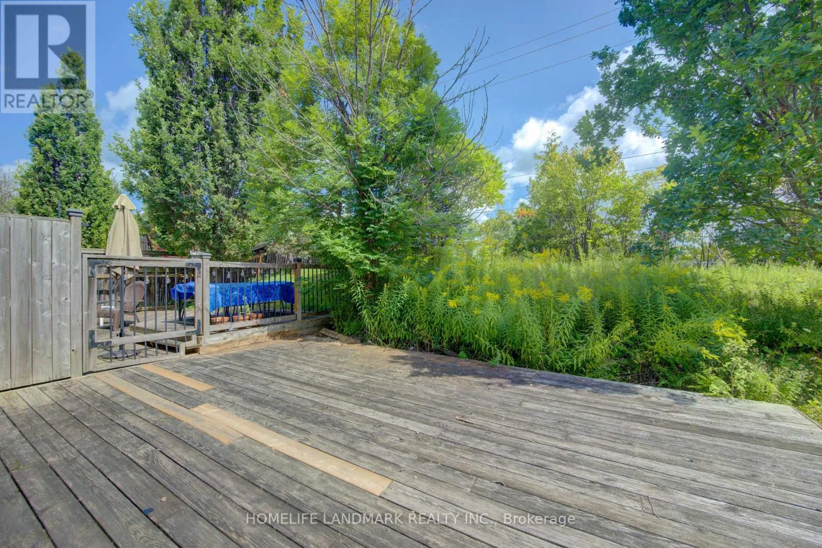 650 WILD GINGER AVENUE