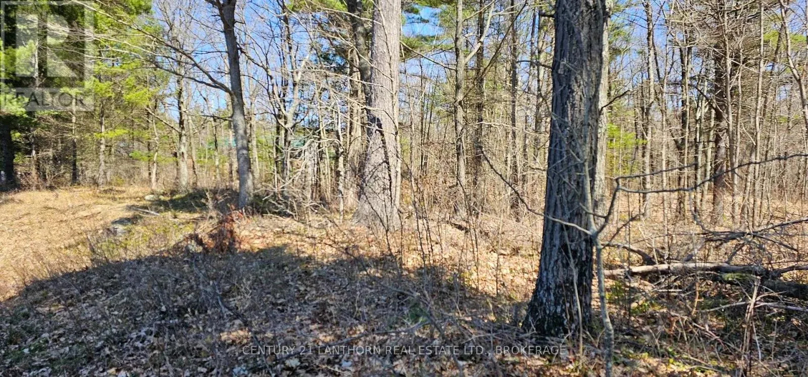 2 GULL CREEK ROAD