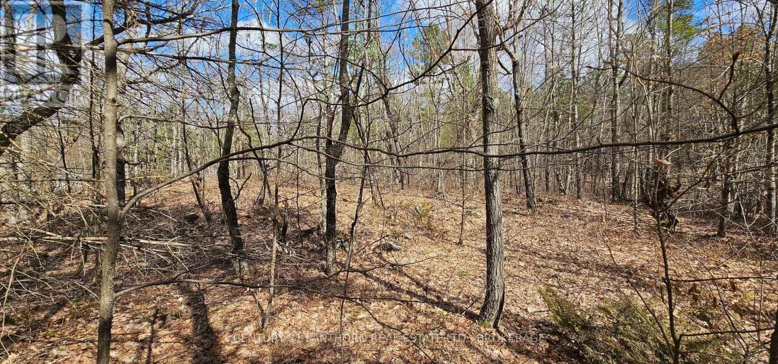 2 GULL CREEK ROAD