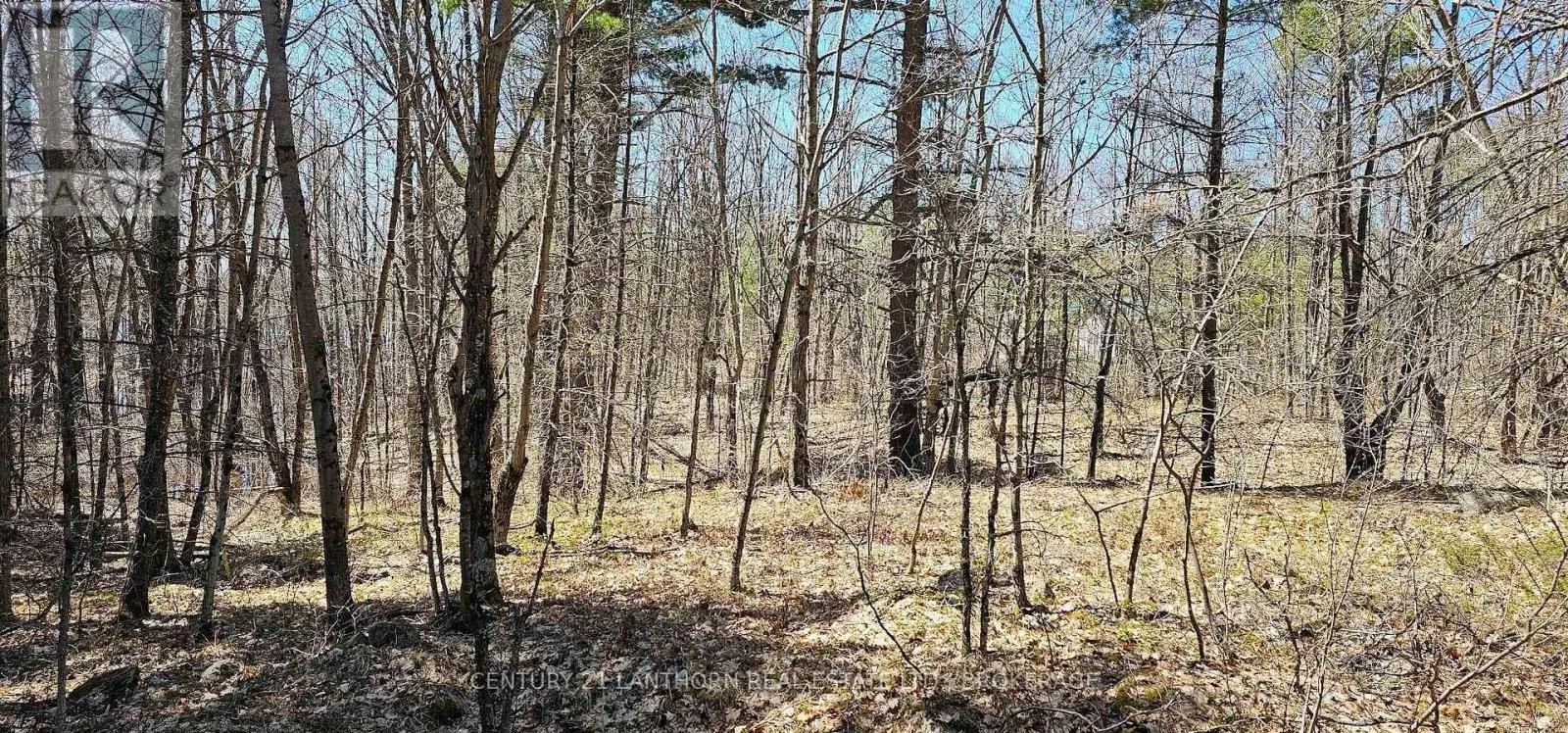 2 GULL CREEK ROAD