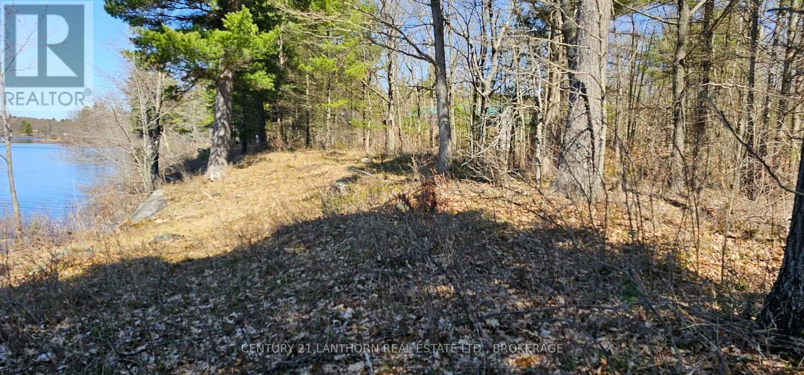 2 GULL CREEK ROAD