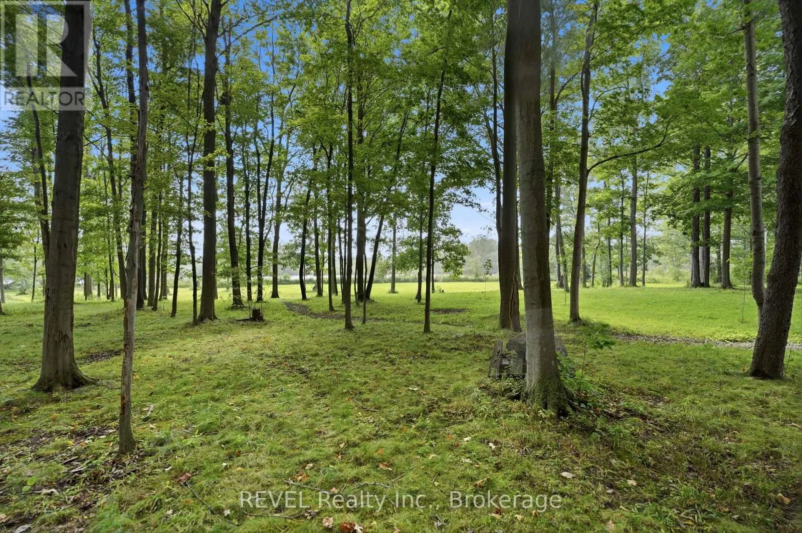 1247 CHIPPAWA CREEK ROAD