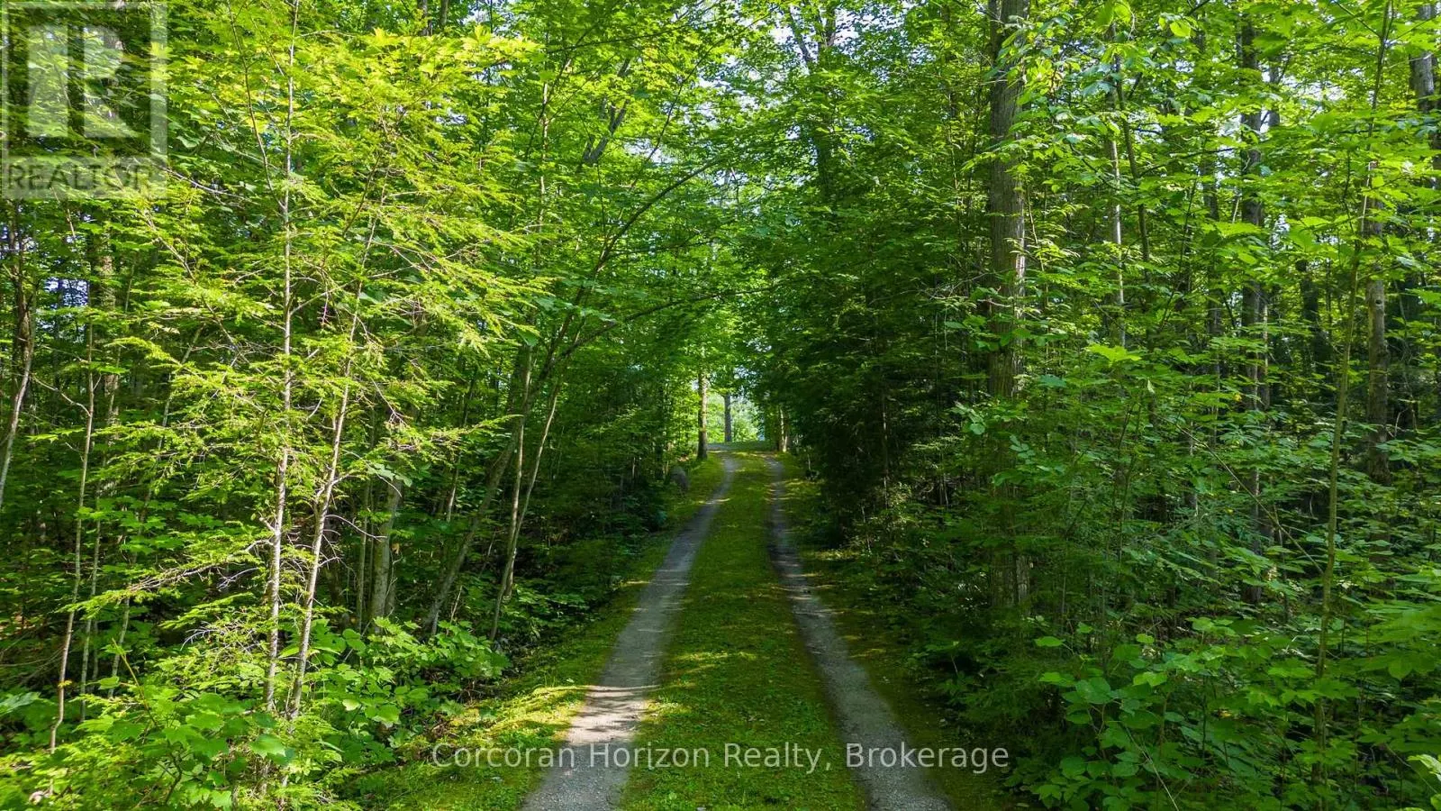 959 HARRISON TRAIL