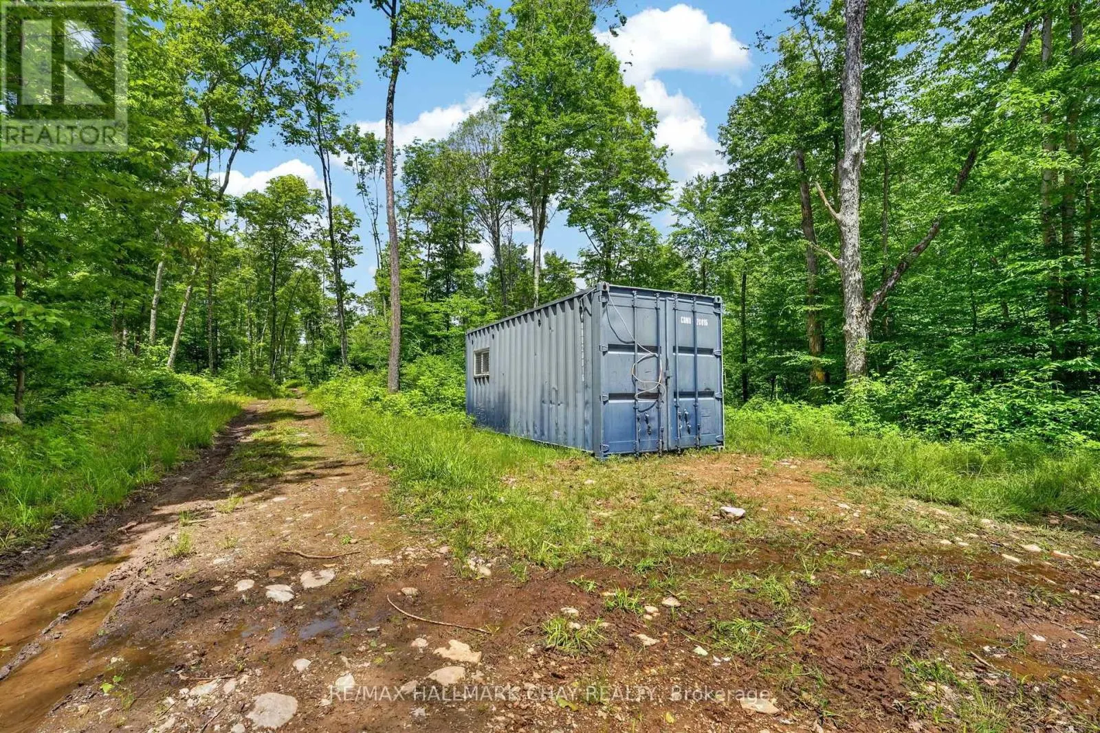 LOT 29 CONCESSION 11
