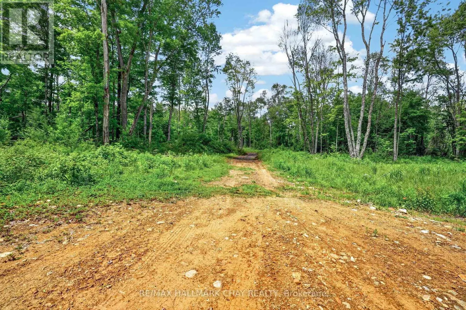 LOT 29 CONCESSION 11