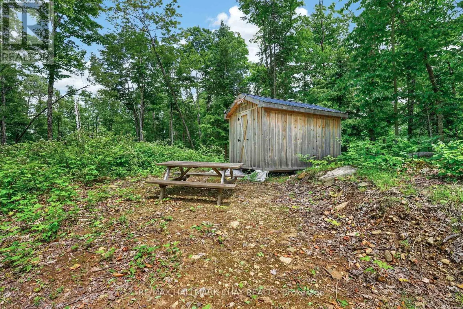 LOT 29 CONCESSION 11