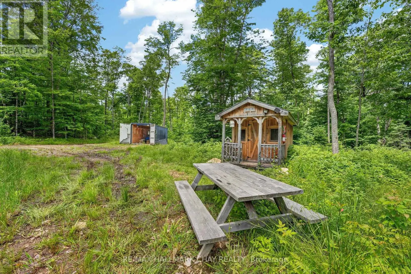 LOT 29 CONCESSION 11